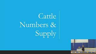 Beef Cattle Market Outlook – Anne Wasko – President Cattle Trennds [upl. by Nayd754]