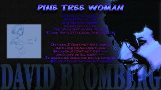 PINE TREE WOMAN  DAVID BROMBERG LIVE wWords [upl. by Tommie]