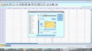 Demo on Logistic Regression using IBM SPSS  Credit Scoring [upl. by Homovec]