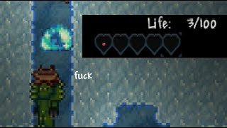 A Random Terraria Shitpost [upl. by Terry]