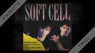 Soft Cell  Tainted Love  Where Did Our Love Go promo 45 medley ver  1982 [upl. by Dibbrun964]