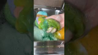 PT 23  SUDSY SPONGE OVERLOAD SQUEEZING  PASTE  PINALEN  AJAX  DETERGENT  COMET  CLEANTOK [upl. by Keverian]