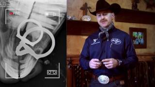 Foundation Snaffle by Professionals Choice featuring Ed Dufurrena [upl. by Faythe]