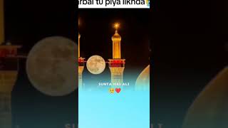 Janam Ali Ali noha Nadeen sarwar noha video viral foryou zain Ansari 🥺🥺🥺🙏🙏🙏 [upl. by Eiromem]