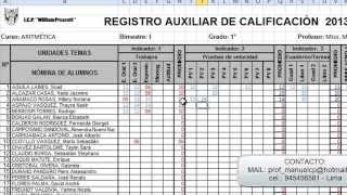 SISTEMA DE REGISTRO COMPLETO EN EXCEL [upl. by Bruckner604]