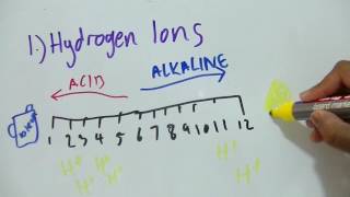 AS Level Biology  Inorganic Ions [upl. by Chiang]