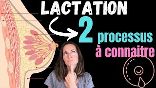 2 mécanismes de lactation à connaitre pour avoir une lactation abondante [upl. by Wurst]