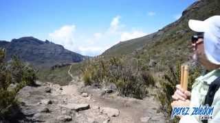 ¿Cómo es el trayecto al Cerro Chirripó [upl. by Barbabas309]