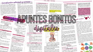 APUNTES DIGITALES en WORD [upl. by Ronoel]