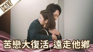 《好戲回甘》愛的榮耀 EP28 苦戀大復活 遠走他鄉 [upl. by Kristoffer]