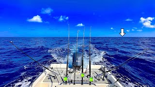 I Took my 24ft BAY BOAT Fishing 800 DEEP in the GULF and Caught THIS Catch Clean Cook [upl. by Ellehcear]