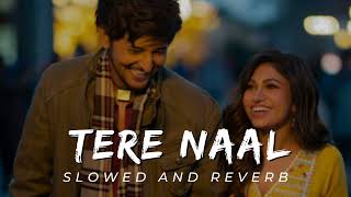 Tere Naal  Slowed and Reverb  Darshan Rawal  Tulsi Kumar  Tseries [upl. by Wendelin]