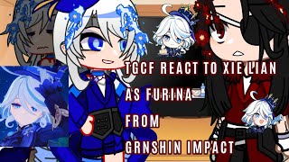 tgcf react to xie lian as furina GIxtgcfnot OG200 subscriber special [upl. by Davine]