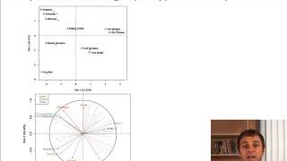 Analyse Factorielle Multiple  AFM  cours 44  groupe qualitatifs groupes de fréquences [upl. by Lachman]