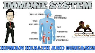 Our immune system  human health and disease NCERT for NEET and AIIMS [upl. by Selle735]