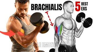 5 BEST BRACHIALIS WORKOUT AT GYM TO GET BIGGER ARMS FAST [upl. by Emmalynn173]