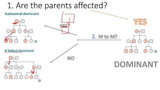 How To Solve ANY Pedigree Without Reading the Question USMLE [upl. by Azarria540]