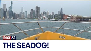 Good Day on the Road What youll experience on the Seadog at Navy Pier [upl. by Sivle]