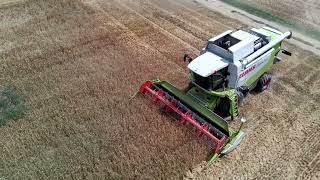 Weizenernte in Rheinhessen mit Claas Lexion 550 Case und Fendt Aufnahme mit Potensic Atom [upl. by Karol55]