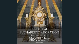 Perpetual 247 Eucharistic Adoration Prayer Mission [upl. by Etteneg296]