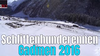 Schlittenhunderennen Gadmen 2016 [upl. by Areic975]