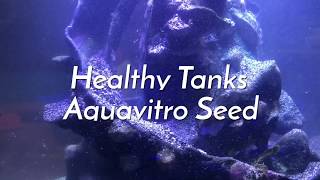 Healthy Aquariums Quick Intro to AquaVitros quotSeedquot [upl. by Hanzelin]