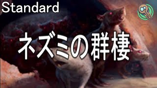 Standard  ネズミの群棲  Rat Colony 【MTG】 [upl. by Eikcin]