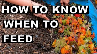 How to know when to FEED your worm bin 55 gallon worm bin [upl. by Aramit671]