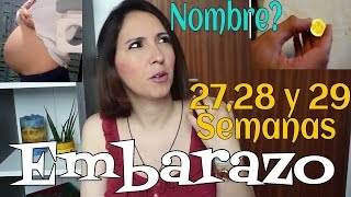 Contracciones barriga y molestias semanas 27 a 29 de embarazo [upl. by Morna195]