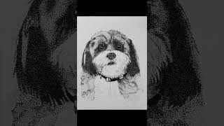 pointillism drawing 🐶 art drawing trending youtube viralvideo pointillism penart yt dog [upl. by Whitver]