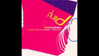 Evolution amp Lucien Foort – Fluid Compilation CD1 HD [upl. by Dempstor]