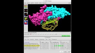 How to mutate a protein in UCSF Chimera [upl. by Eiuqcaj]