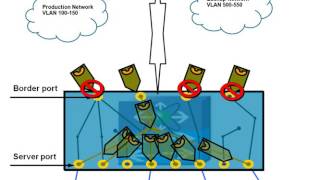 Disjoined Layer 2 network in Cisco UCS system [upl. by Surad]