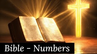 Bible 04 Old Testament  The Book of Numbers Audiobook  God 📚🎧 [upl. by Brick796]