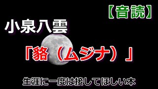 【音読】小泉八雲「貉（ムジナ）」小泉八雲 貉 オーディオブック 音読 [upl. by Hgielek835]