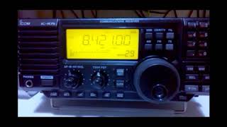 8421 kHz WLO Mobile Radio Alabama  USA [upl. by Aztiram679]