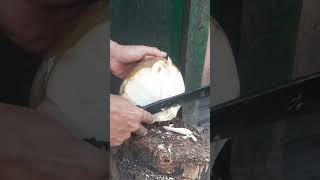 Awesome green coconut cutting skills satisfying coconut shorts cuttingskills shortsviral fypシ゚ [upl. by Fionna739]