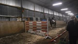 Neujahrsspringen 2017 Reitschule Mechtersen [upl. by Tor]