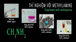 Thí nghiệm với methylamine CH3NH2  Quỳ tím CH3NH2  HCl CH3NH2  CuSO4 CH3NH2  FeCl3 [upl. by Bettzel]