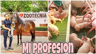 50 Cosas sobre la ZOOTECNIA  Lo que debes saber antes de estudiar Zootecnia 🐷🐮🐣 [upl. by Calla]