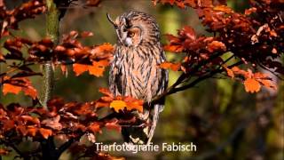 Fotoworkshop mit LodzigNaturfoto [upl. by Weatherby]