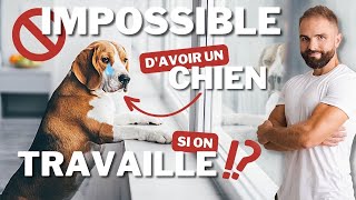 IMPOSSIBLE davoir un chien si on travaille [upl. by Dranoel]