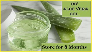 DIY Homemade ALOE VERA GEL  100 Pure  How To Make Aloe Vera Gel And Store It For Months [upl. by Noivax]