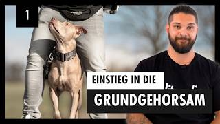 Einführung In Den GRUNDGEHORSAM Für Deinen Hund  Die Basis Für Ein Harmonisches Miteinander – Tag 1 [upl. by Nevin502]