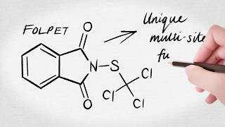 The fungicide resistance challenge in cereals and the importance of multisite protectant PHOENIX® [upl. by Airom]