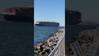 Ship Spotting in Brooklyn under the Verrazano Bridge shipspotting bayside brooklyn bridge ship [upl. by Tibbetts]