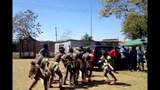 ZamaShenge Zulu dancers [upl. by Tnemelc579]