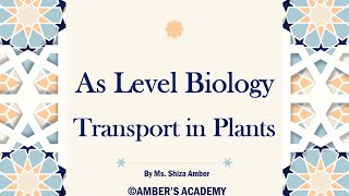 A Level Biology Transport in Plant  Cambridge 9700  Part 1 [upl. by Felicio]