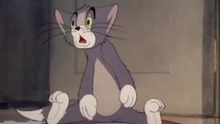 Tom And Jerry Episode 4 Fraidy Cat Part 2 1942 [upl. by Selimah293]