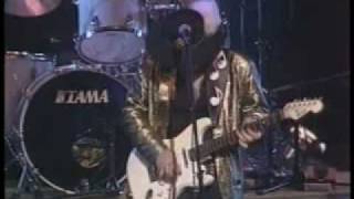 Stevie Ray Vaughan  Life Without You [upl. by Nytsud]